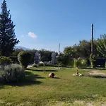 Jenny\'S House